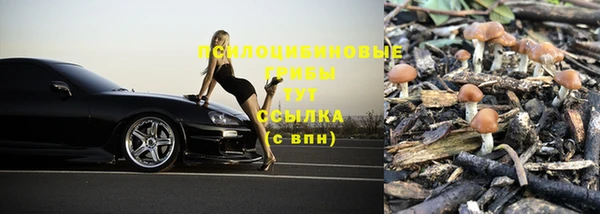 мяу мяу кристалл Горно-Алтайск