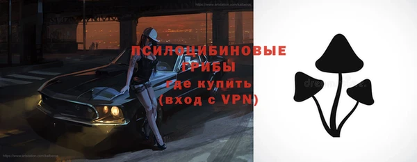 спиды Горняк