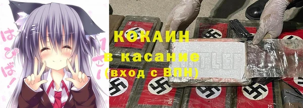 спиды Горняк