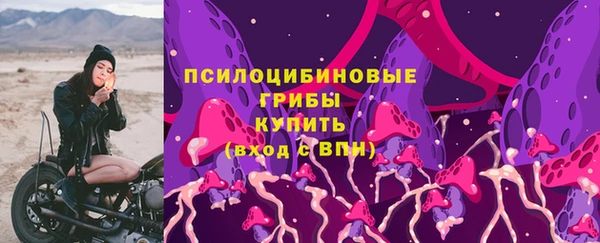 спиды Горняк