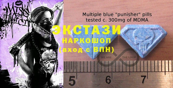 спиды Горняк